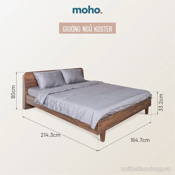Giường Ngủ MOHO KOSTER Màu Nâu 1m6